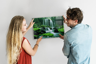 Magnetisch bord Waterval tussen het mos