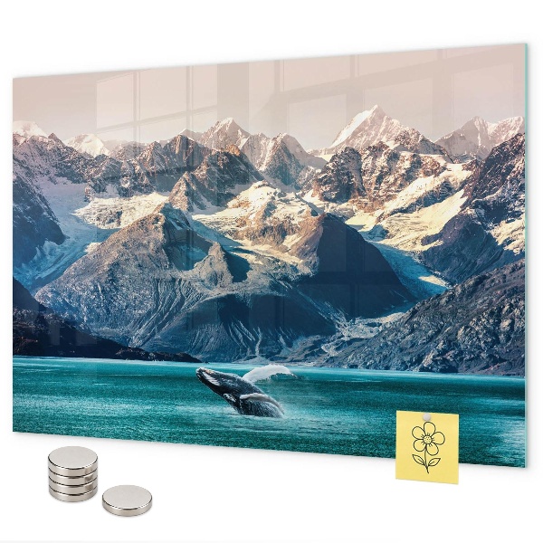 Magnetisch bord Walviswater