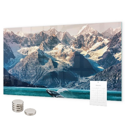 Magnetisch bord Walviswater