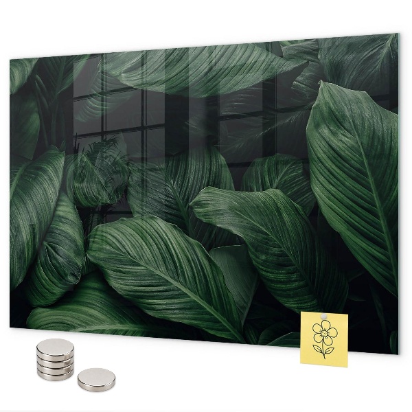 Tropische monstera