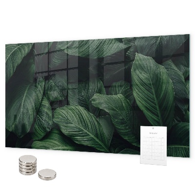 Magnetisch bord Tropische monstera