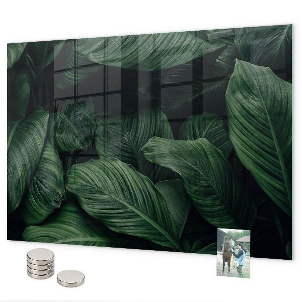 Magnetisch bord Tropische monstera