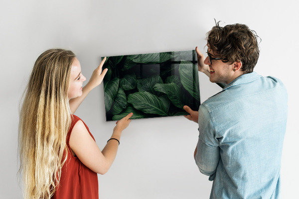 Magnetisch bord Tropische monstera