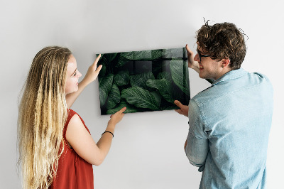 Magnetisch bord Tropische monstera