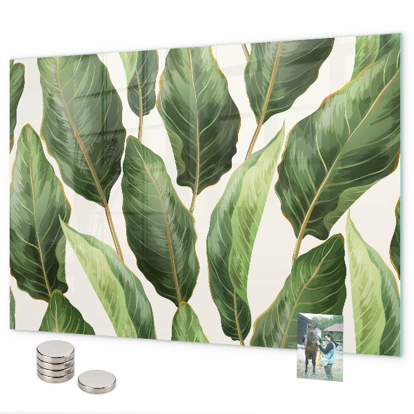 Magnetisch bord Palmbladeren