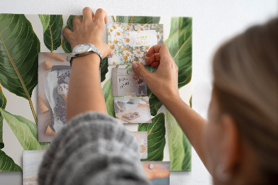 Magnetisch bord Palmbladeren