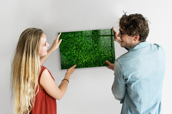 Magneetbord Hegbladeren