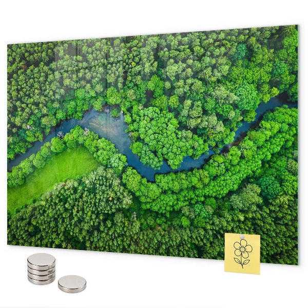 Rivier in het bos