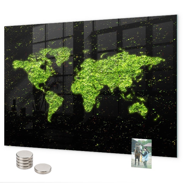Magneetbord Wereldkaart