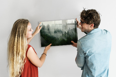 Magneetbord Nevelbos