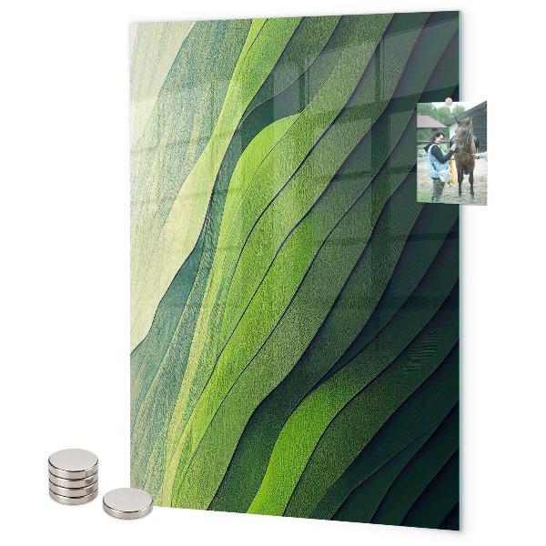 Magneet bord Groene strepen van de natuur