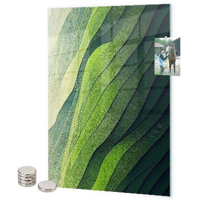 Magneet bord Groene strepen van de natuur