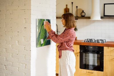 Magneet bord Groene strepen van de natuur