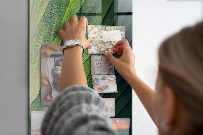 Magneet bord Groene strepen van de natuur