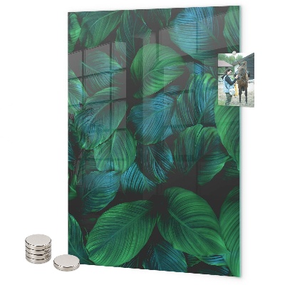 Magneet bord Grote groene bladeren