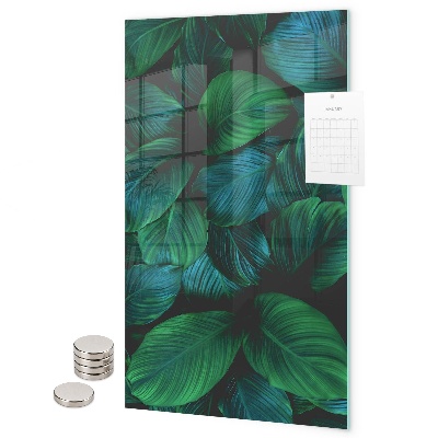 Magneet bord Grote groene bladeren