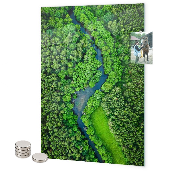 Magneet bord Bosbomen rivier