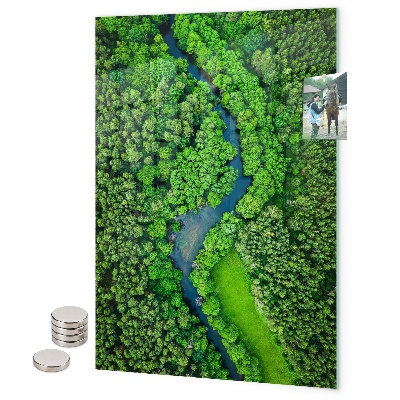 Magnet board Tropische bladeren