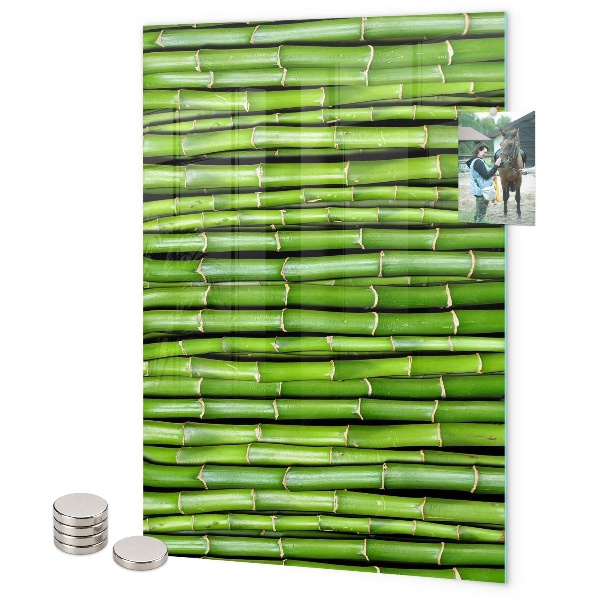 Magneet bord Groene bamboe