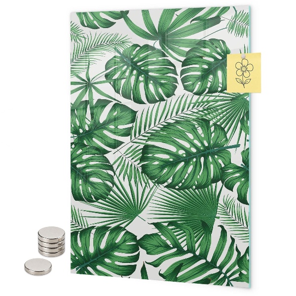 Tropische monstera-bladeren