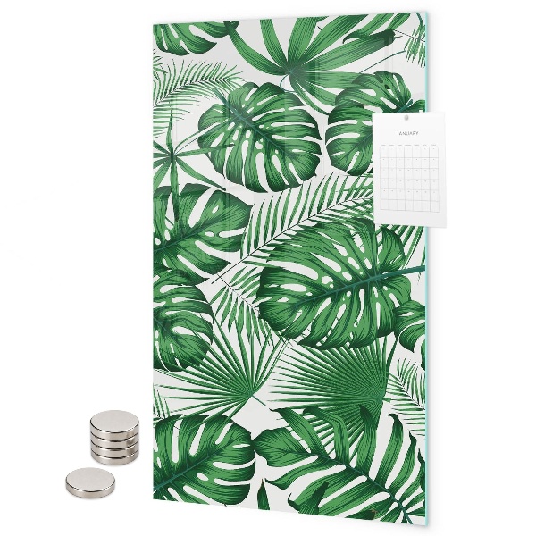 Magnet board Tropische monstera-bladeren