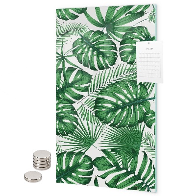 Magnet board Tropische monstera-bladeren