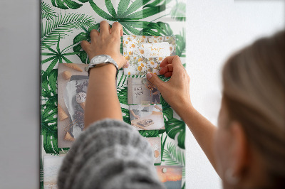 Magnet board Tropische monstera-bladeren