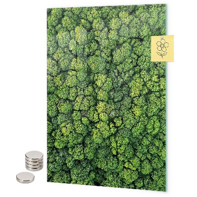 Magneet bord bomen natuur bos