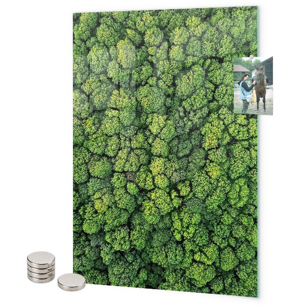 Magneet bord bomen natuur bos