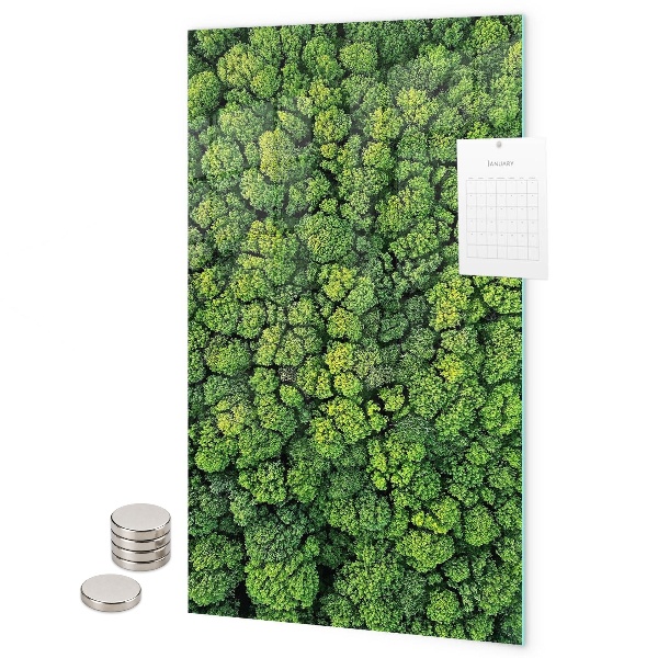 Magneet bord bomen natuur bos