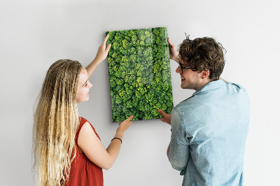 Magneet bord bomen natuur bos