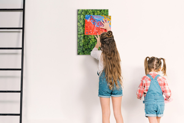 Magneet bord bomen natuur bos