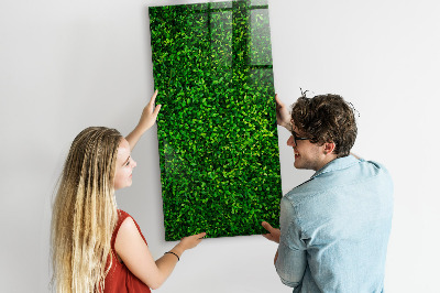 Decoratief glazen wandbord beschrijfbaar en magnetisch Groen fotoprikbord