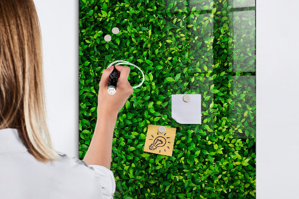 Decoratief glazen wandbord beschrijfbaar en magnetisch Groen fotoprikbord