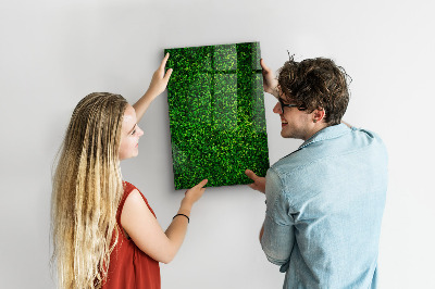 Decoratief glazen wandbord beschrijfbaar en magnetisch Groen fotoprikbord