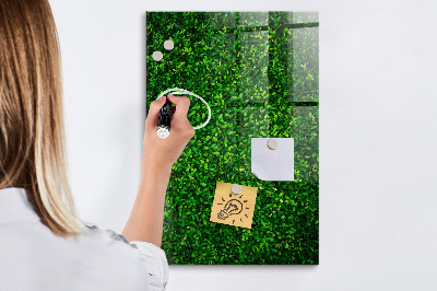 Decoratief glazen wandbord beschrijfbaar en magnetisch Groen fotoprikbord