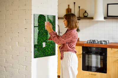 Decoratief glazen wandbord beschrijfbaar en magnetisch Groen fotoprikbord