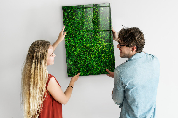 Decoratief glazen wandbord beschrijfbaar en magnetisch Groen fotoprikbord
