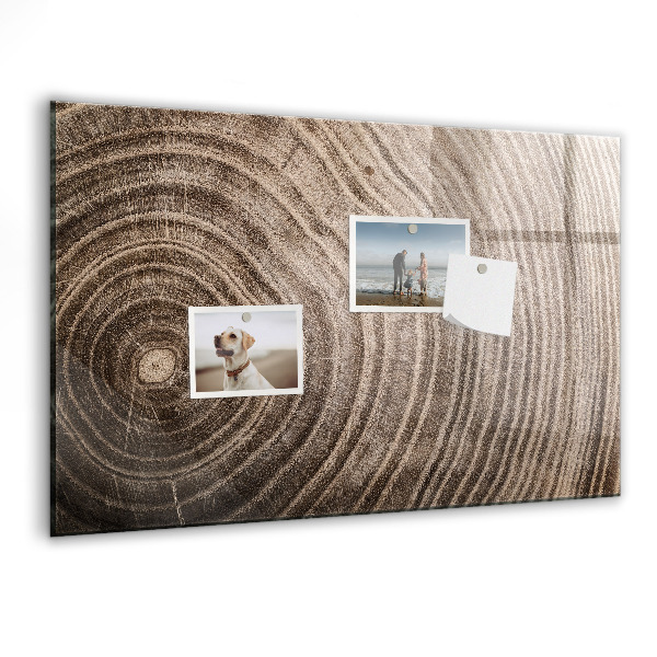 Decoratief glazen wandbord beschrijfbaar en magnetisch Memobord met magneten en foto's