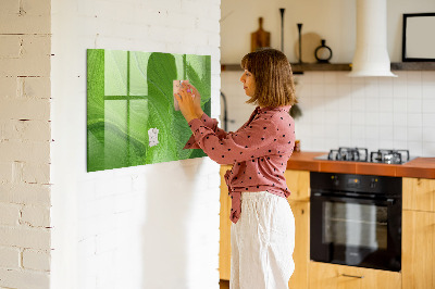 Memobord van glas met print inclusief neodymium magneten Groen fotoprikbord