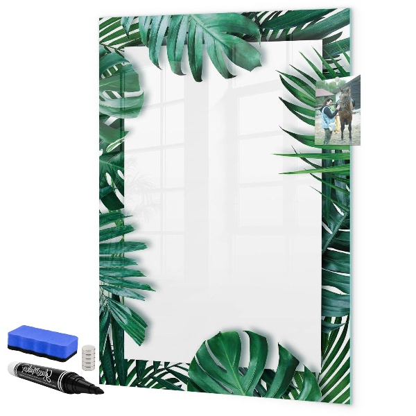 Memobord van glas met print inclusief neodymium magneten Groen bord voor het presenteren van foto's
