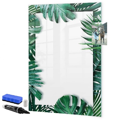 Memobord van glas met print inclusief neodymium magneten Groen bord voor het presenteren van foto's