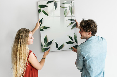 Memobord van glas met print inclusief neodymium magneten Groen bord voor foto's en notities