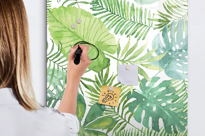 Decoratief glazen wandbord beschrijfbaar en magnetisch Groen bord met ruimte voor foto's