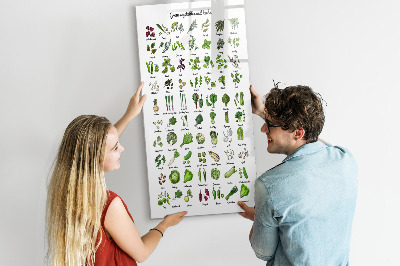 Memobord van glas met print inclusief neodymium magneten Groene groenten en kruiden in grafische weergave