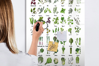 Memobord van glas met print inclusief neodymium magneten Groene groenten en kruiden in grafische weergave