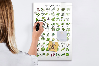 Memobord van glas met print inclusief neodymium magneten Groene groenten en kruiden in grafische weergave