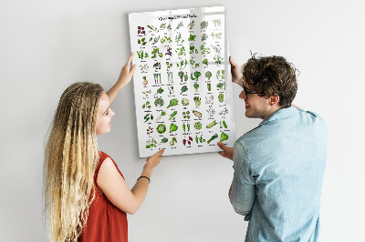 Memobord van glas met print inclusief neodymium magneten Groene groenten en kruiden in grafische weergave