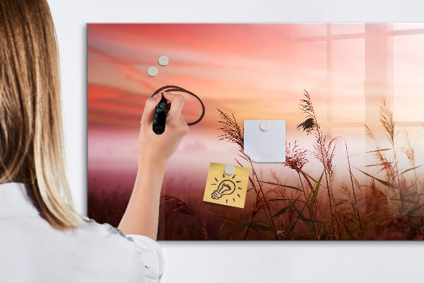 Memobord van glas met print inclusief neodymium magneten Een creatieve ruimte voor het presenteren van foto's