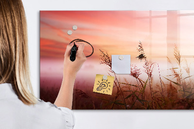 Memobord van glas met print inclusief neodymium magneten Een creatieve ruimte voor het presenteren van foto's